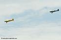 pipercub_8062