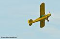 pipercub_8064