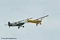 pipercub_8065