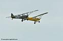 pipercub_8066