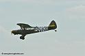 pipercub_8068