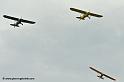 pipercub_8069
