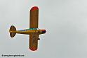 pipercub_8070
