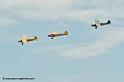 pipercub_8072