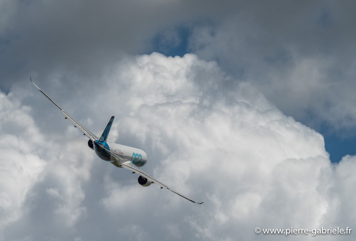 airbus330-g91_5758.jpg