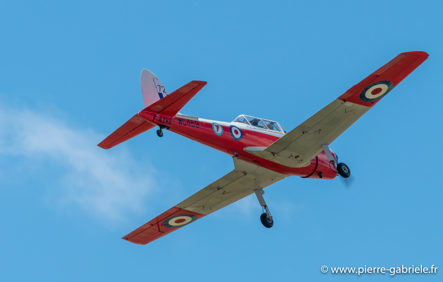 chipmunk-g92_9548.jpg