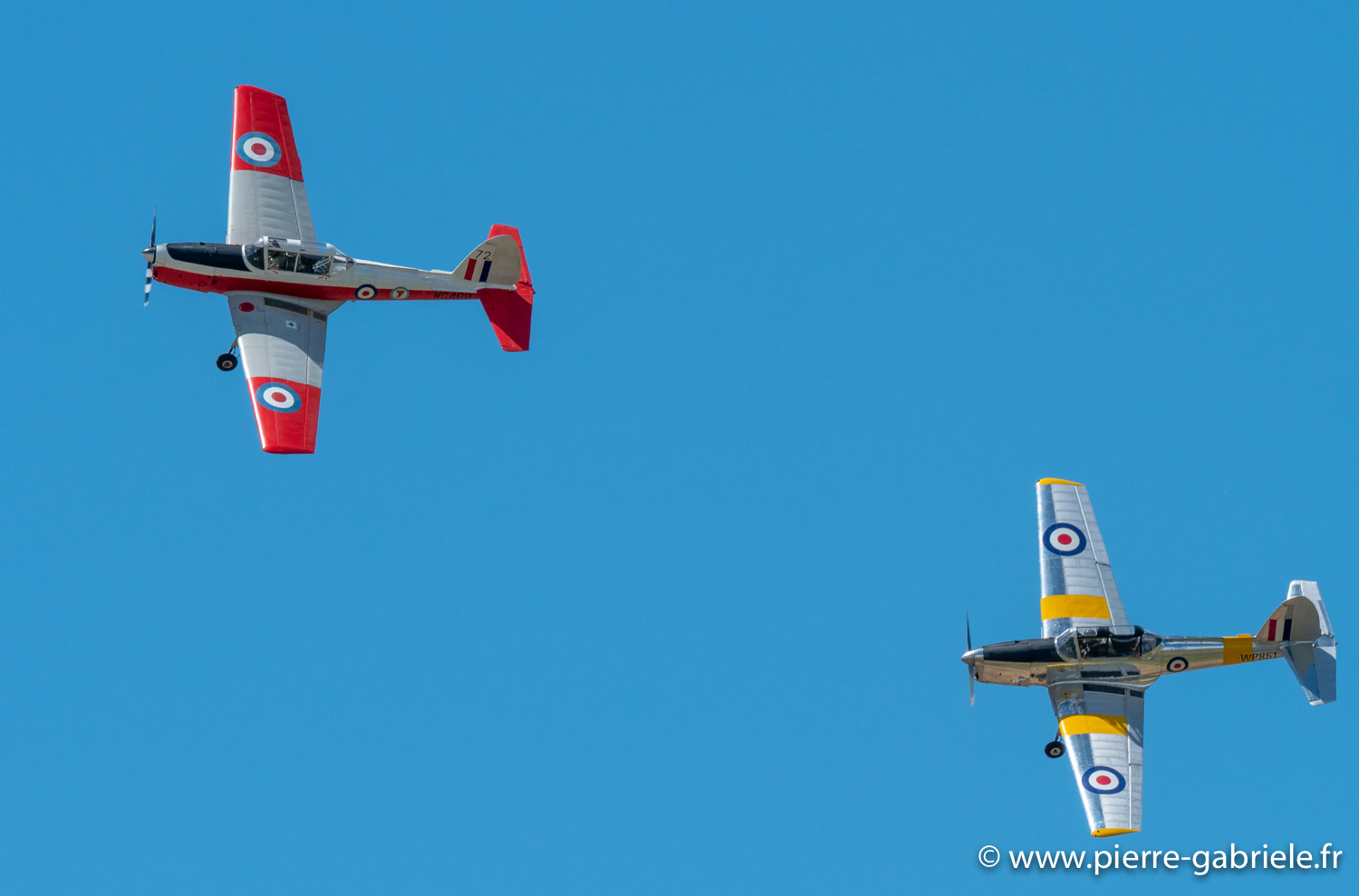 chipmunk-g92_9560.jpg