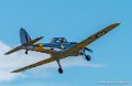 chipmunk-g92_9542