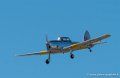 chipmunk-g92_9547