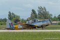 chipmunk-g92_9563