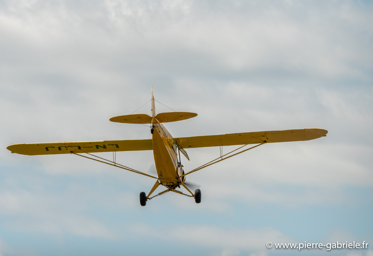 crazy-piper-g92_9640.jpg