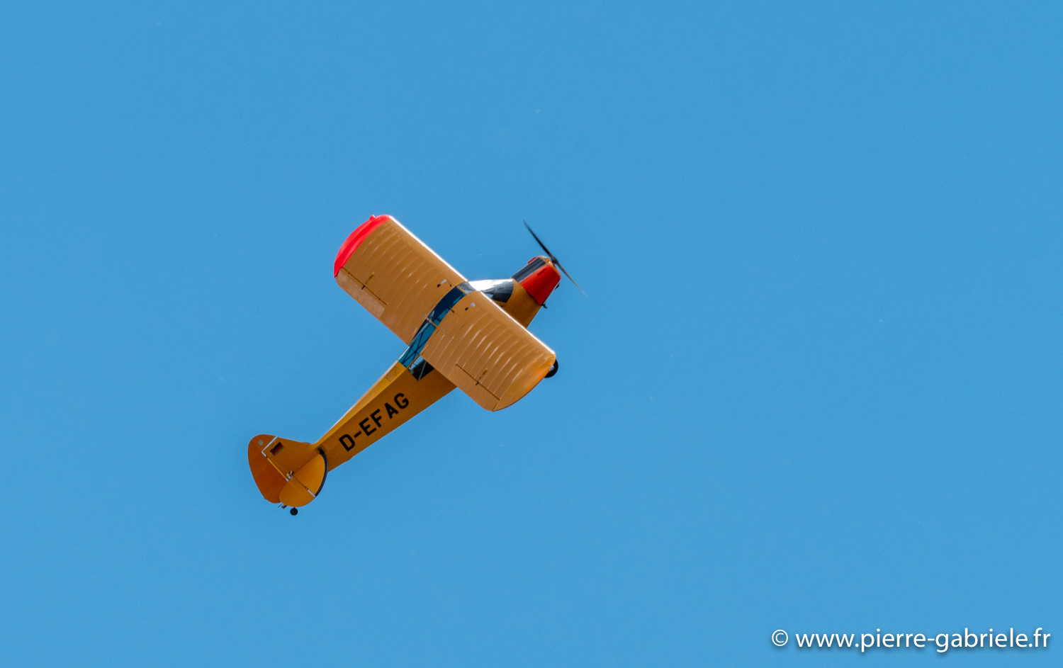 crazy-piper-g92_9654.jpg