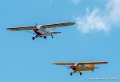 crazy-piper-g92_9651