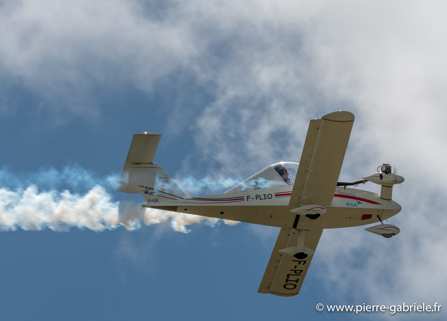 cricri-g92_9594.jpg