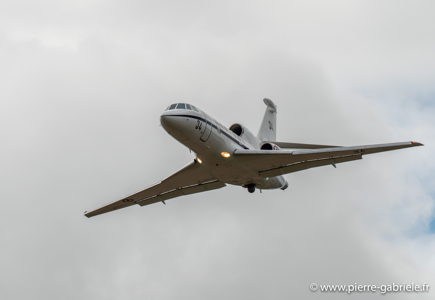 falcon50-g92_9690.jpg