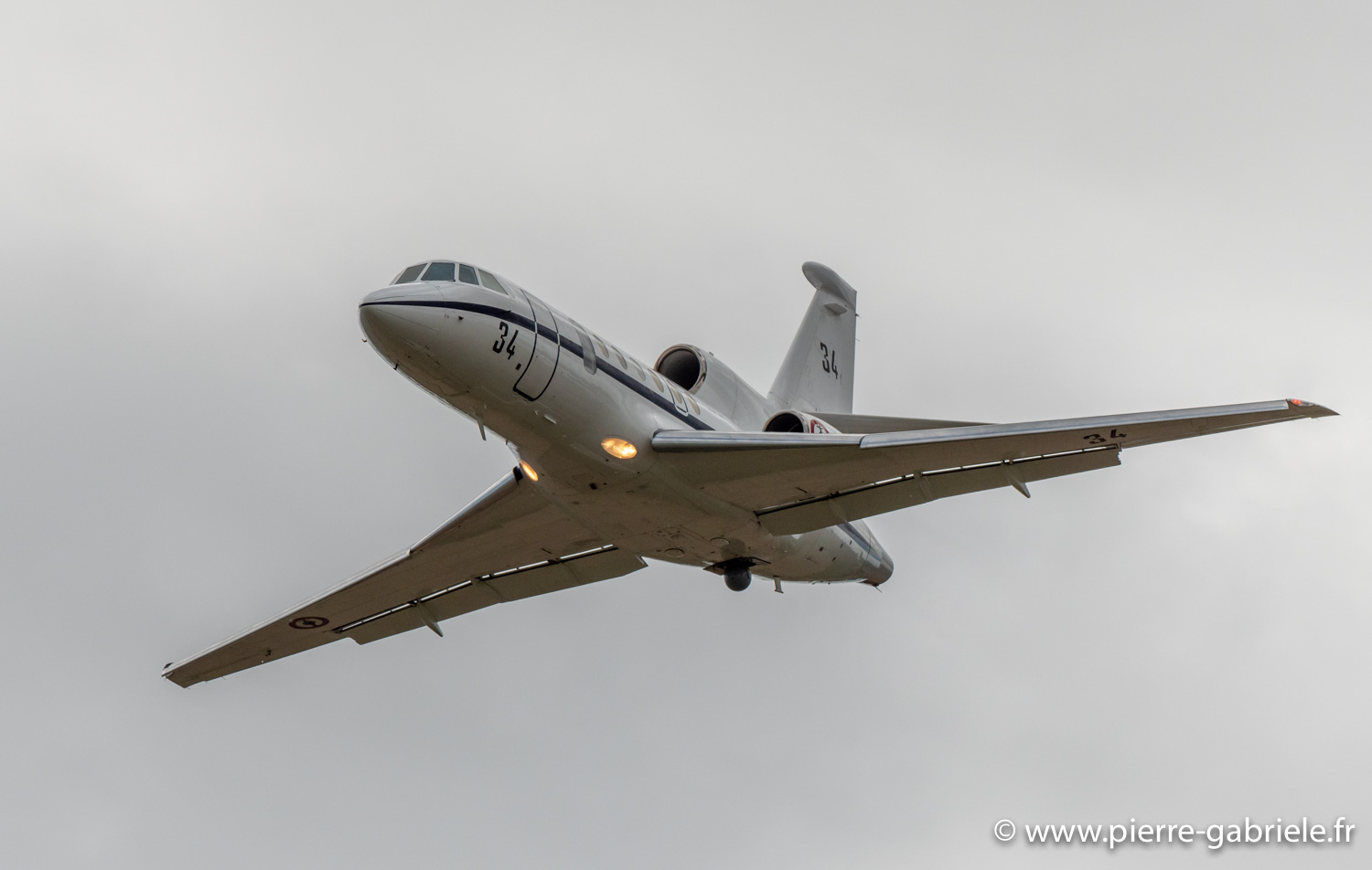 falcon50-g92_9691.jpg