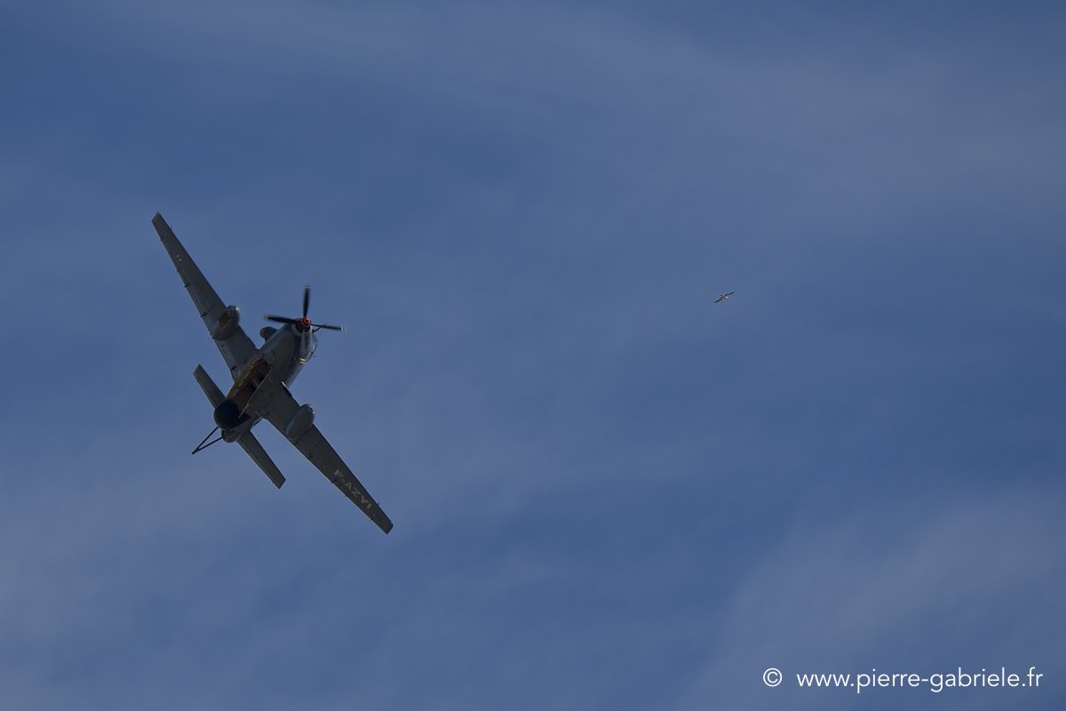 alize_6148.jpg