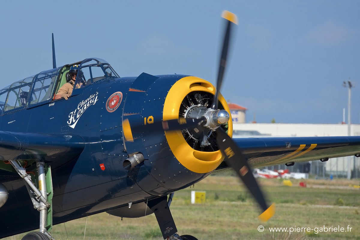 avenger_3598.jpg