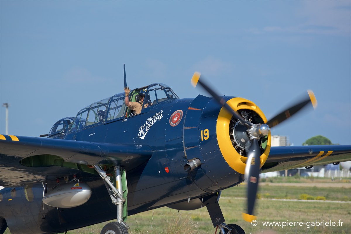 avenger_3599.jpg