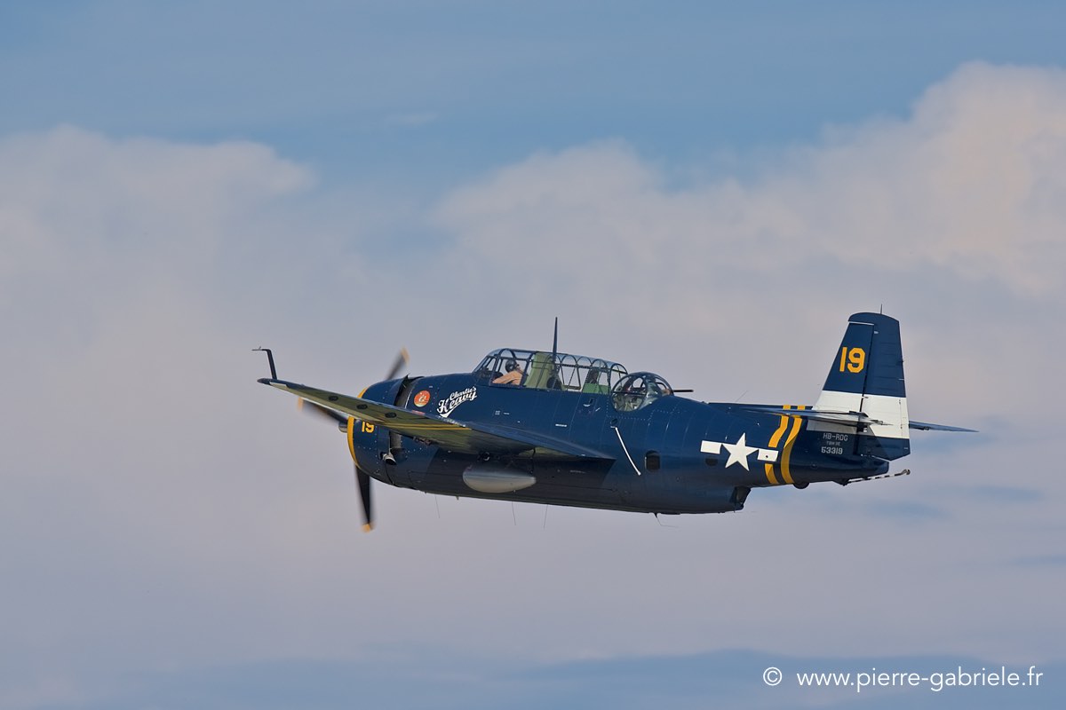 avenger_3790.jpg