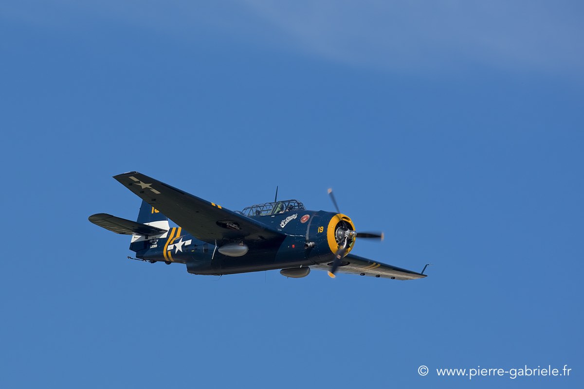 avenger_3792.jpg