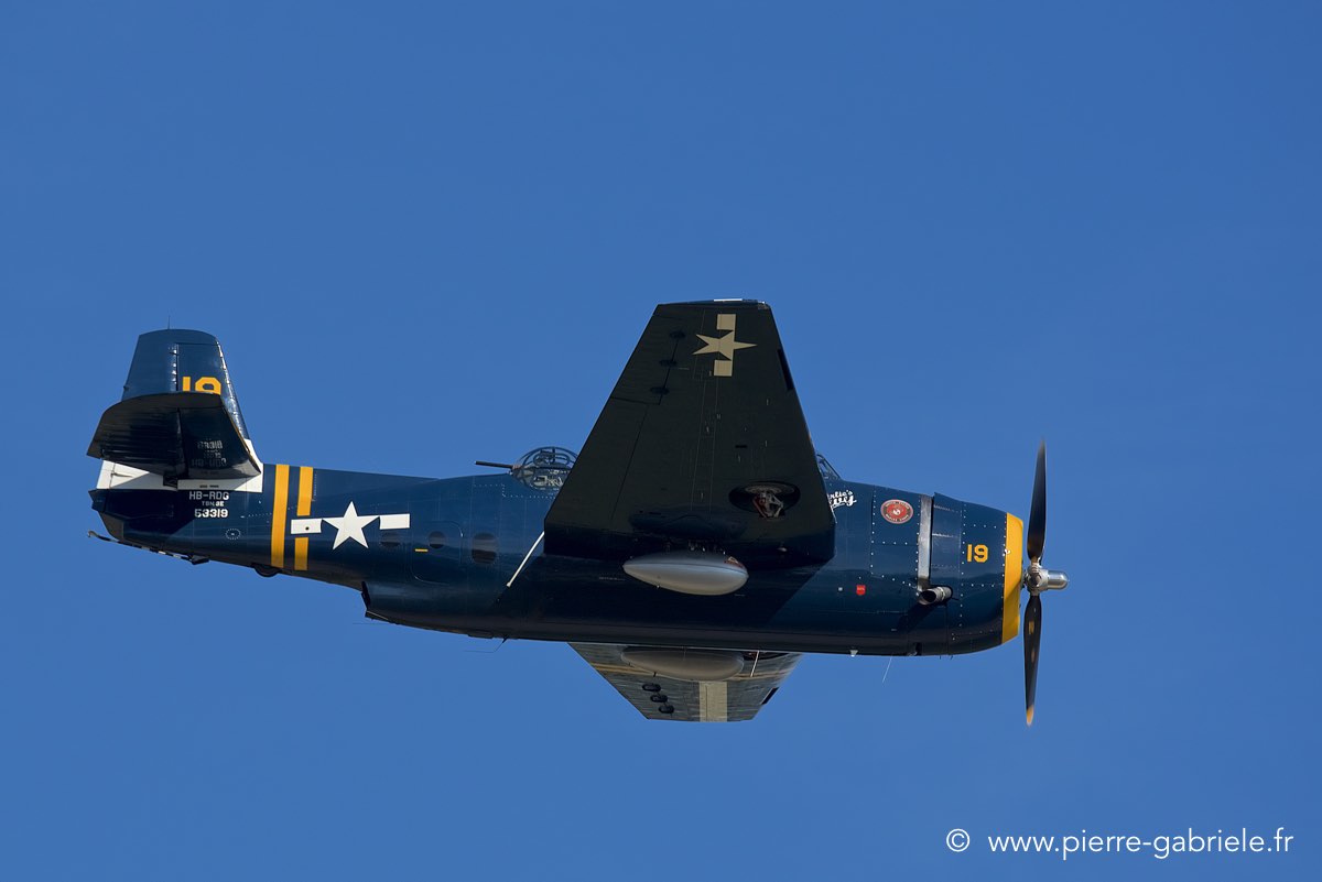 avenger_3795.jpg