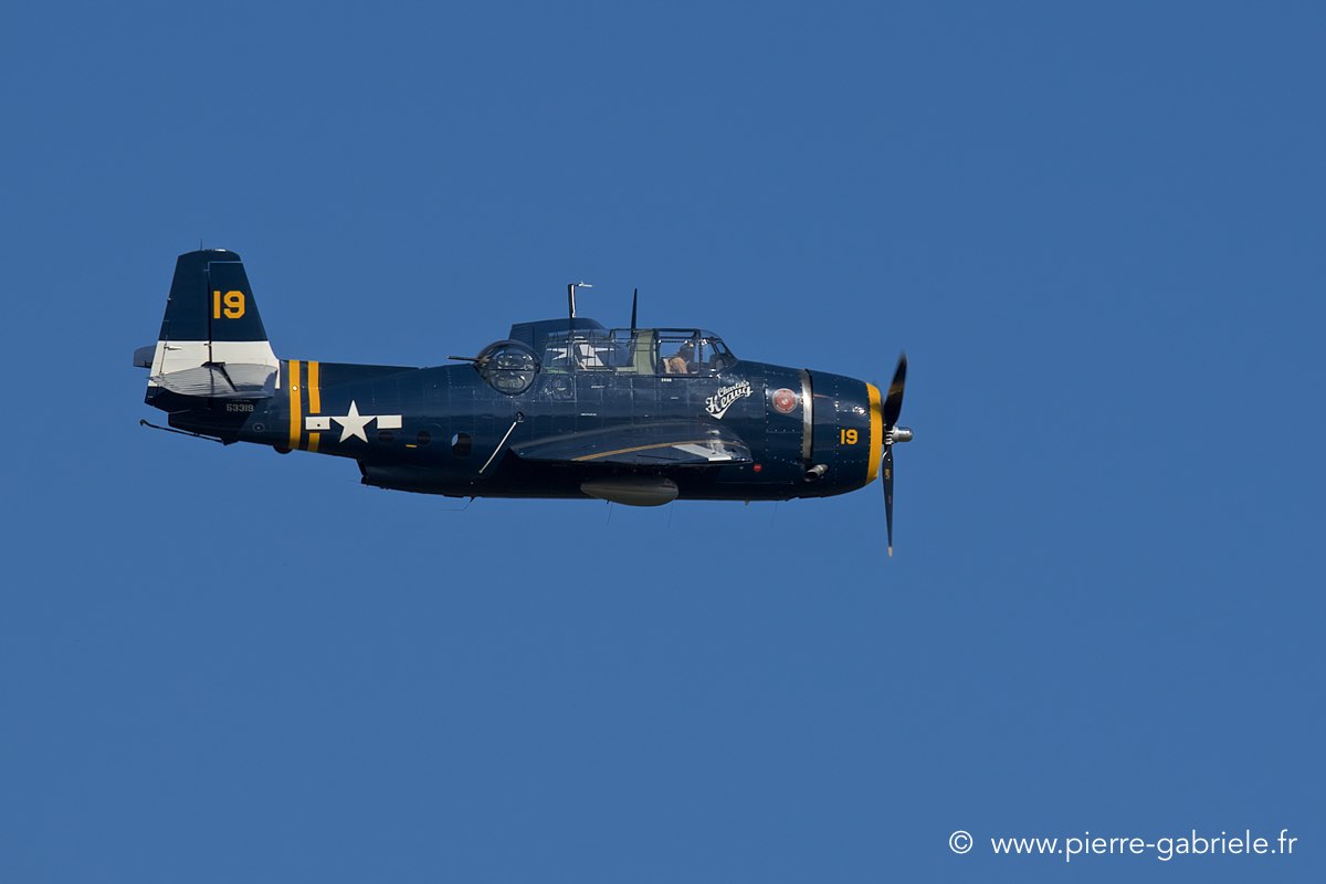 avenger_3811.jpg