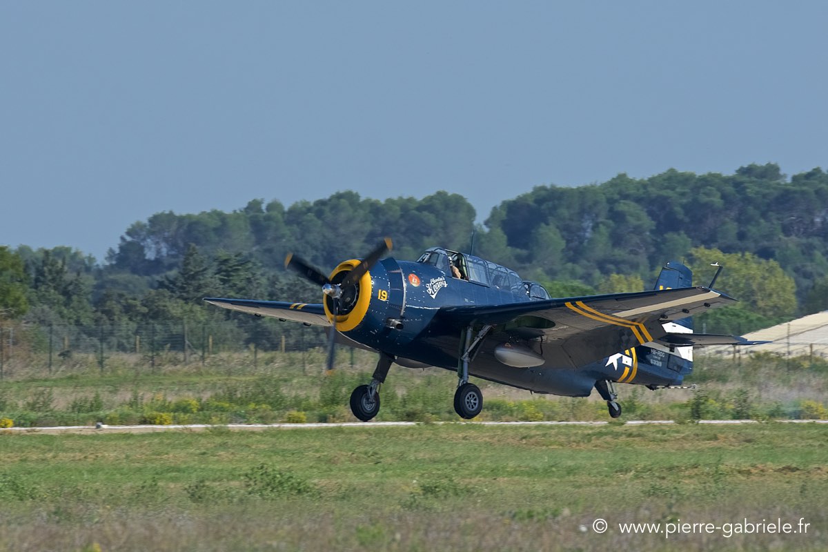 avenger_3821.jpg
