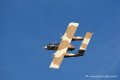 bronco_3950