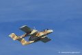 bronco_6681