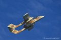 bronco_6682