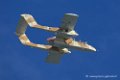 bronco_6689