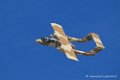 bronco_6691