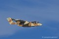 bronco_6694