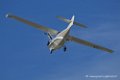 catalina_6745