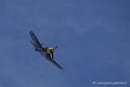 corsair_6593