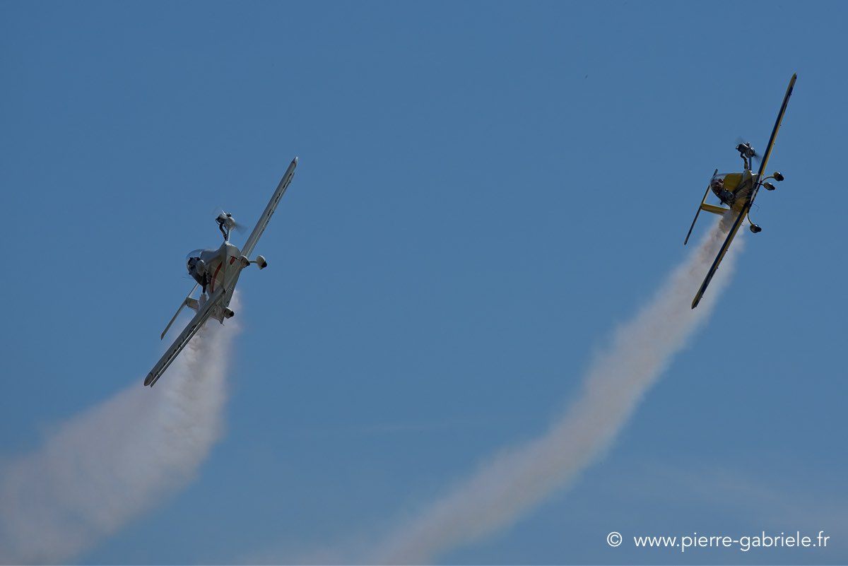 cricri_3176.jpg