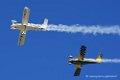 cricri_6762