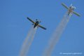cricri_6773