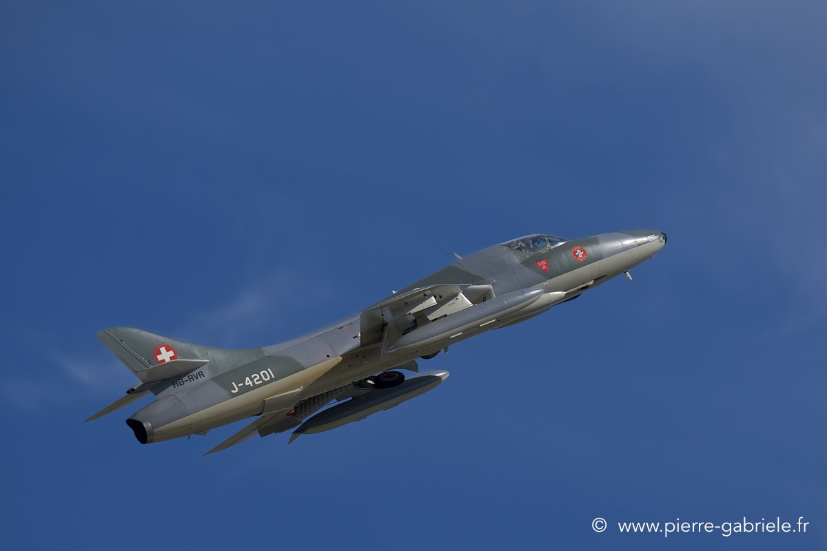 hunter_6505.jpg