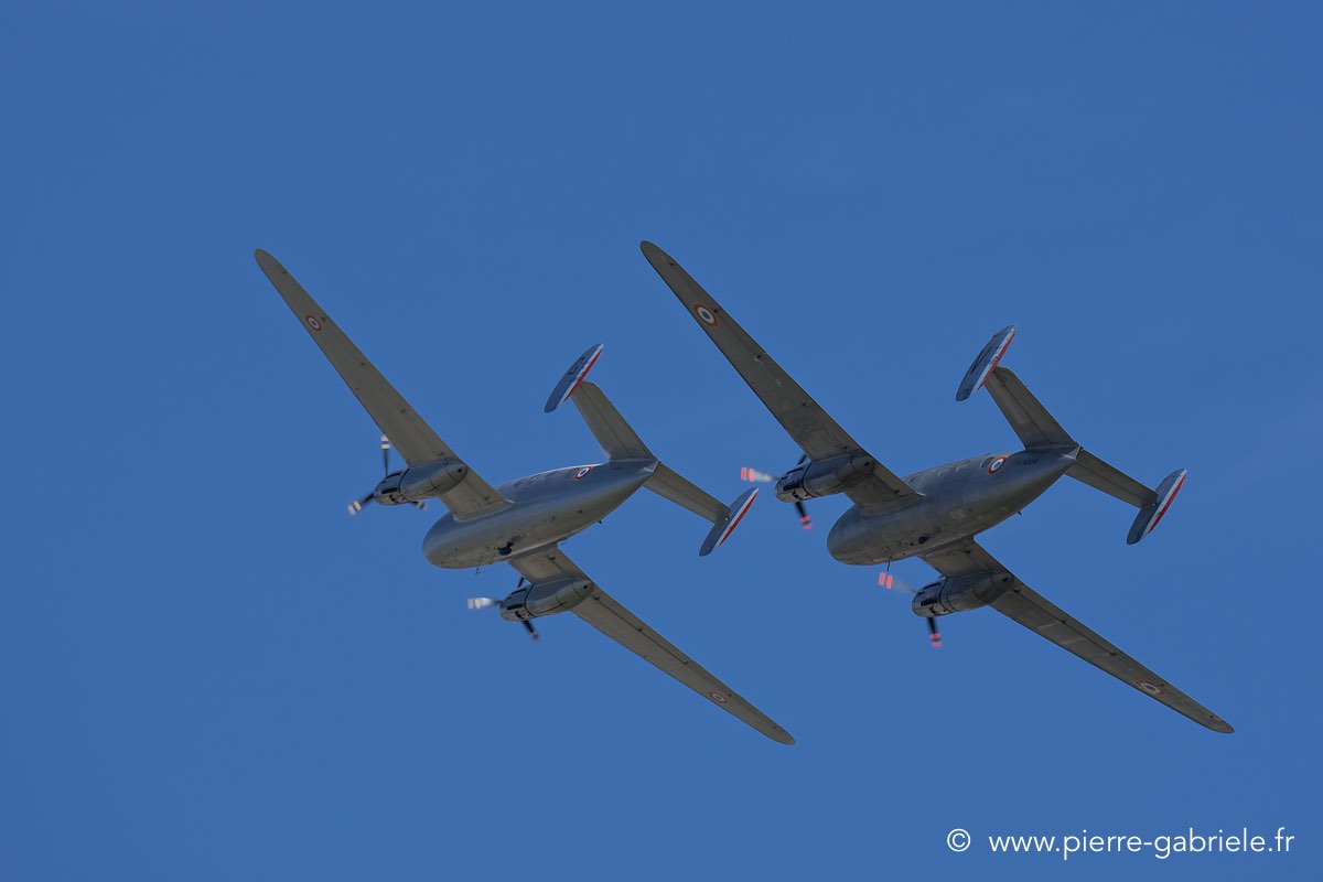 md312_3185.jpg