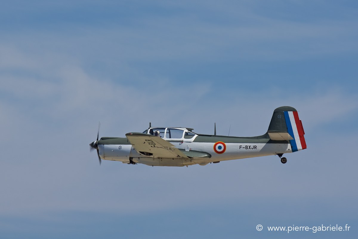 ms733_3300.jpg