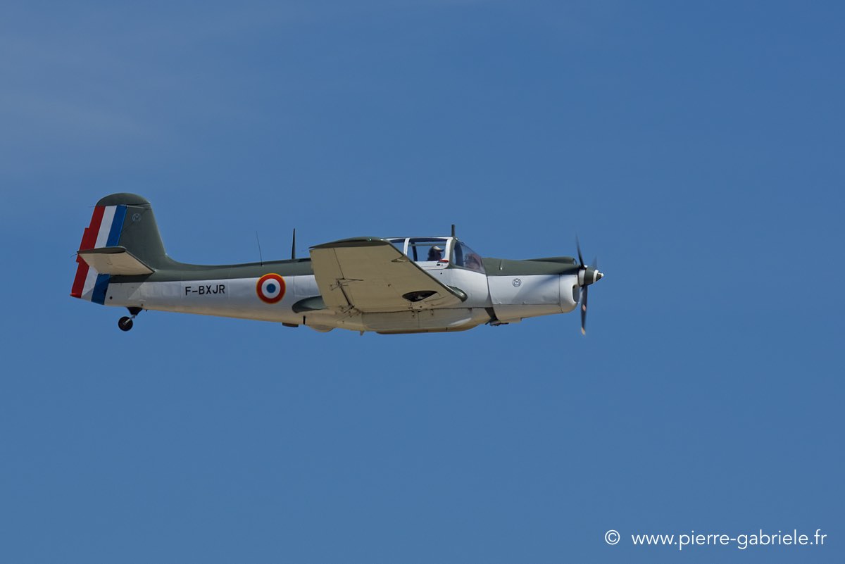 ms733_3333.jpg