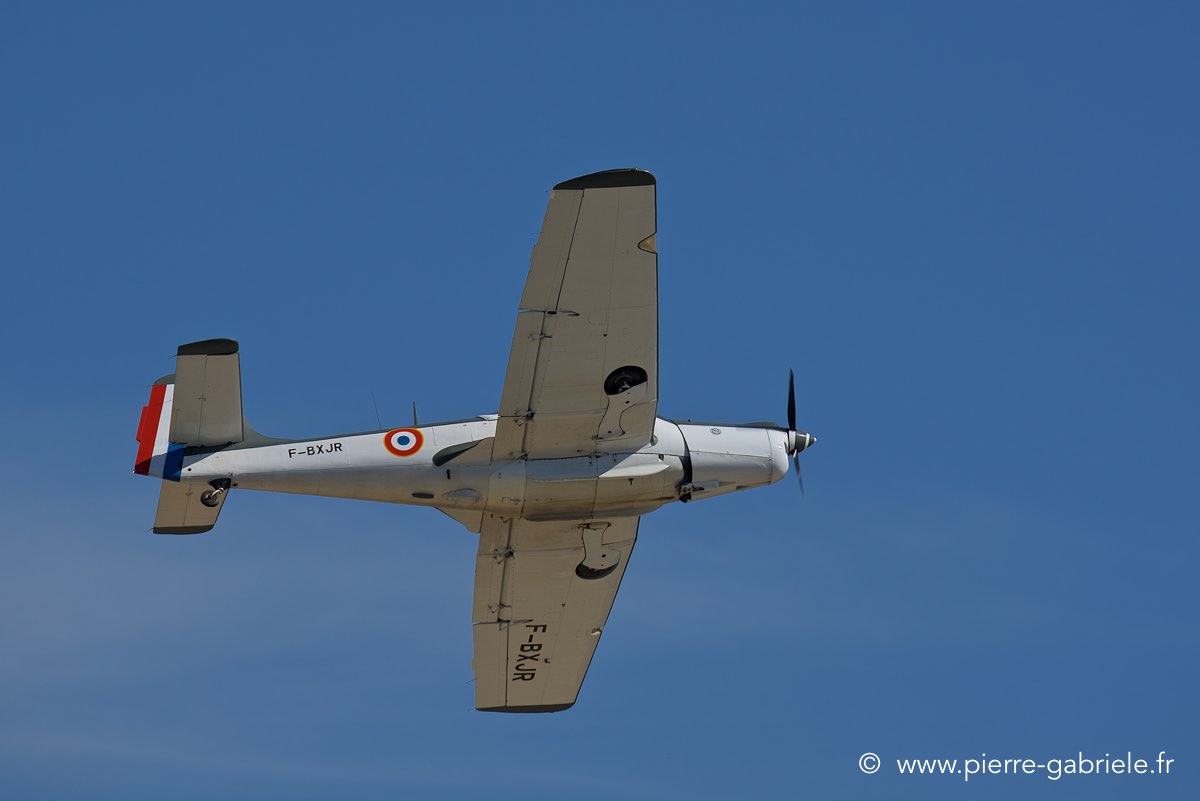 ms733_3334.jpg