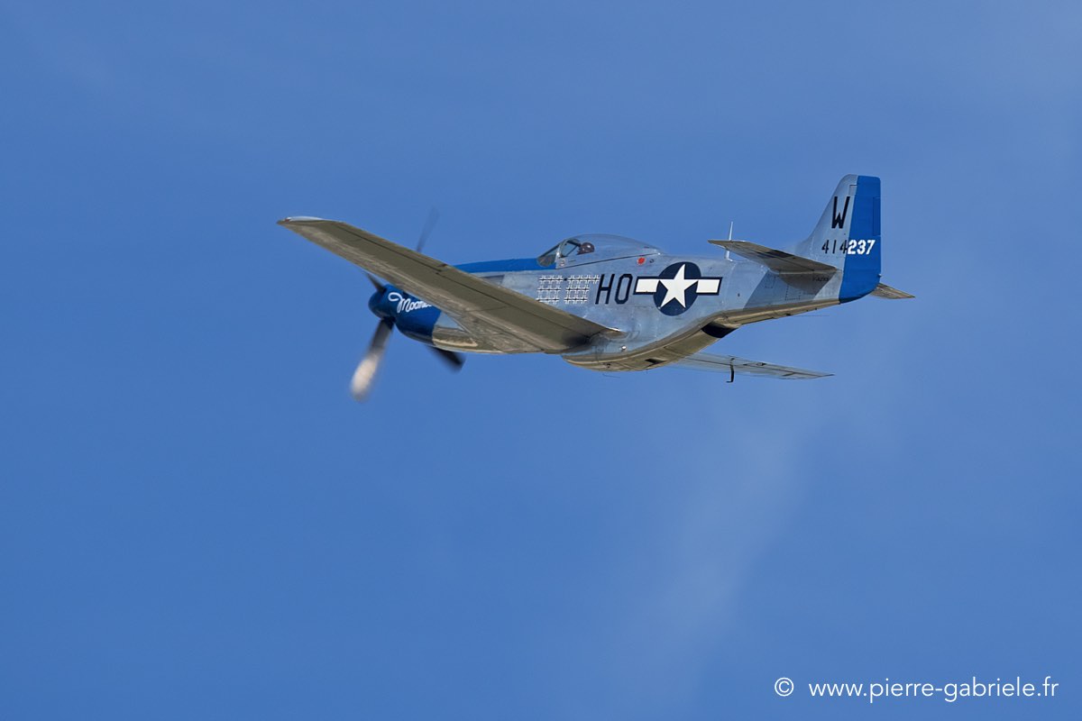 mustang_3509.jpg