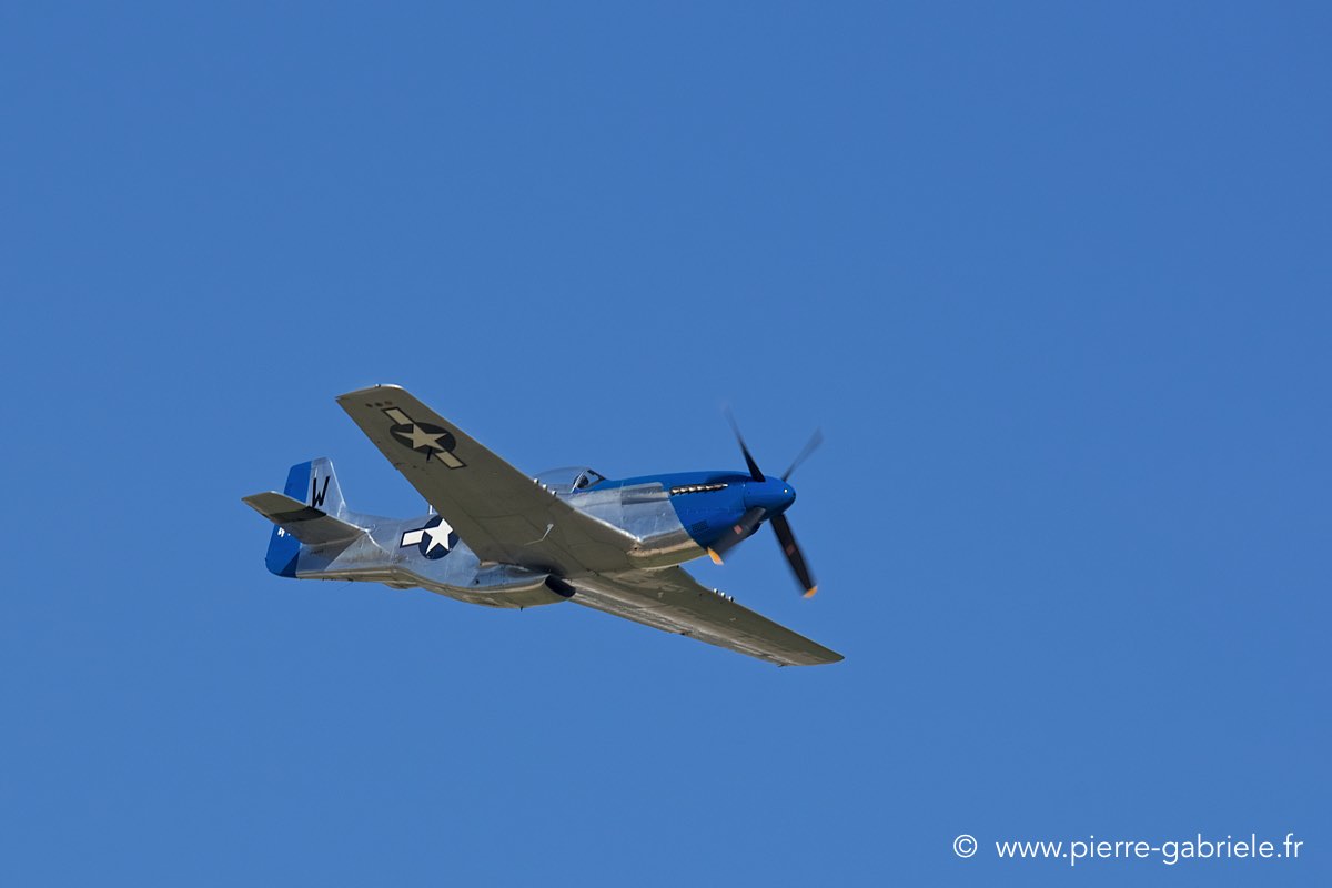 mustang_3510.jpg