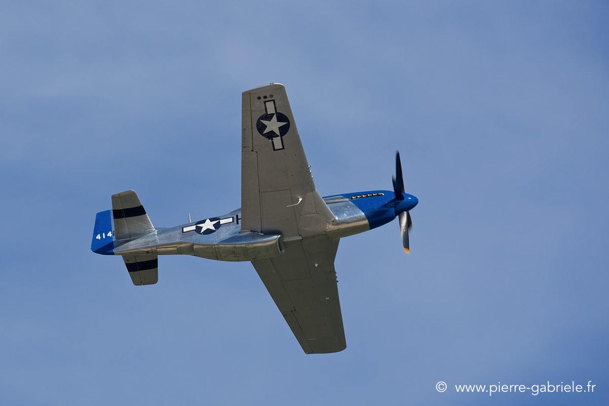 mustang_3511.jpg