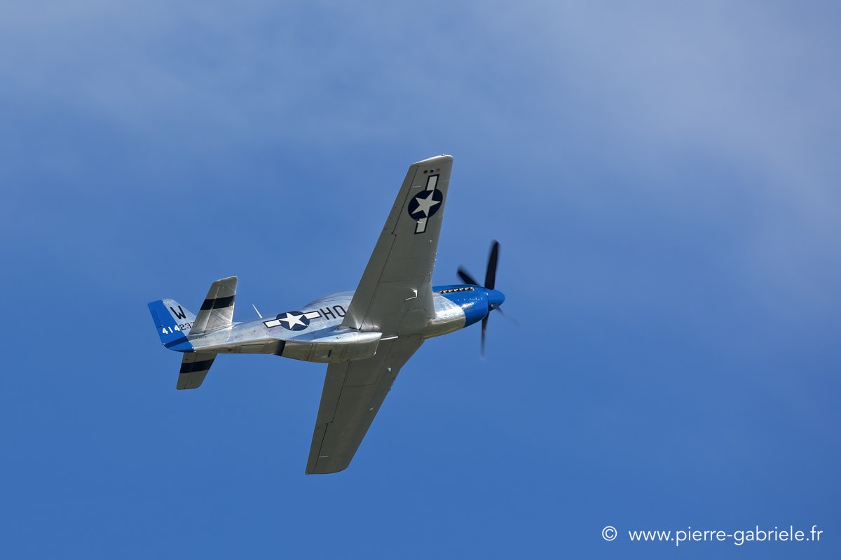 mustang_3512.jpg