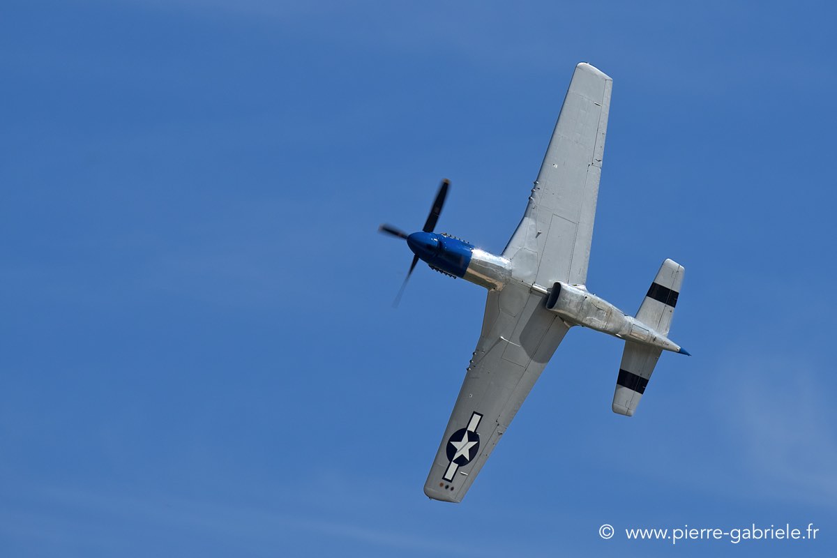 mustang_3517.jpg