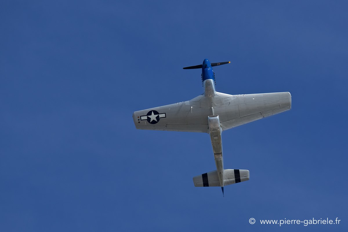 mustang_3522.jpg
